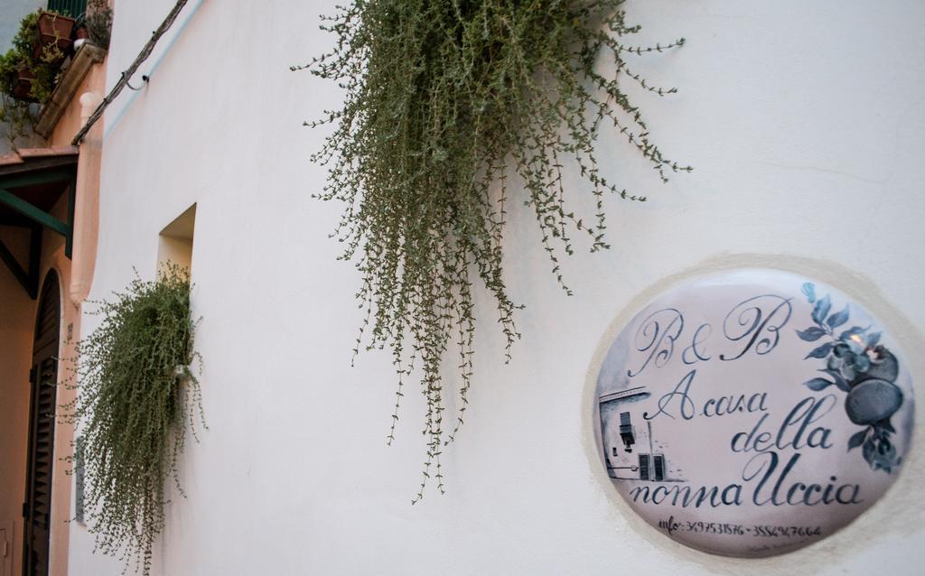 B&B A Casa Della Nonna Uccia Nardò Eksteriør bilde